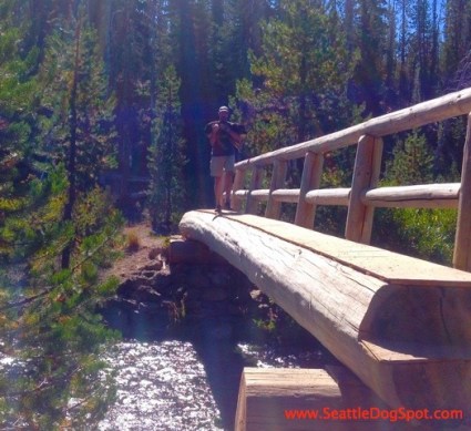 Green Lakes Log Bridge dog friendly Bend, OR