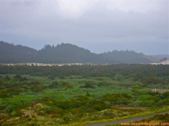 Oregon Dunes National Recreation area. Photo from Seattle DogSpot.