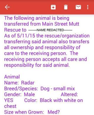 MSMR gave up on Radar and gave him to his foster mom so she could find another home for him. She turned the dog over to another Bellingham area rescue group. Image credit withheld.
