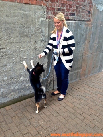 This Amazon employee taught her dog to do this when another dog walks by.