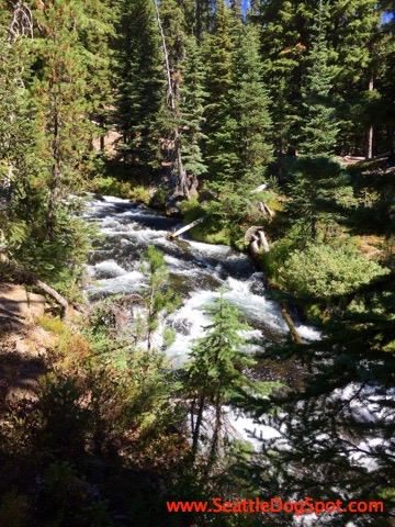 Green Lakes Hike dog friendly Bend, OR