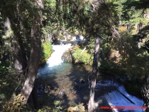 Hiking near Bend Oregon dog friendly Bend, OR