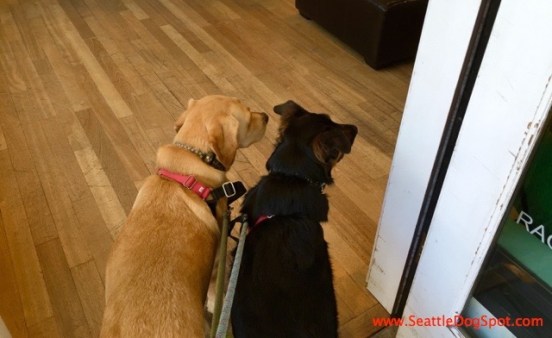 Dog Friendly Stores in Bend dog friendly Bend, OR