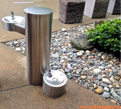 One of the dog friendly water fountains on Amazon's South Lake Union Campus. Photo from Seattle DogSpot.