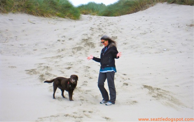 Oregon Dunes National Recreation area. Photo from Seattle DogSpot.