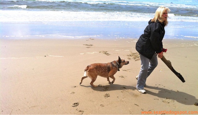 Dog Friendly Cannon Beach.