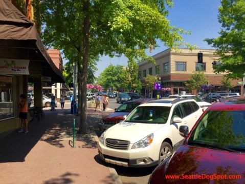 Downtown Bend dog friendly Bend, OR