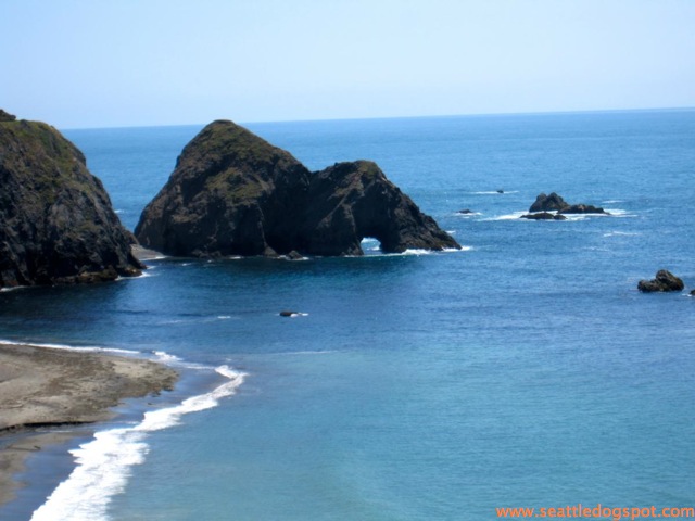 View point in Gualala, CA. Photo from Seattle DogSpot.