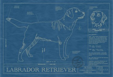Base Relationship with Your Dog on a Dialogue, Not a Monologue