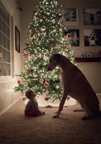 Kids and Dogs I err conservatively when working with dogs and kids, and put responsibility on parents and owners alike to make sure everyone is safe and happy during events where dogs and kids commingle