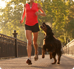 Hotel Monaco Pet Friendly Hotel Monaco Pet Friendly