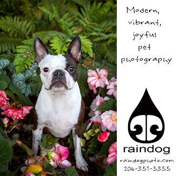 www.raindogphoto.com