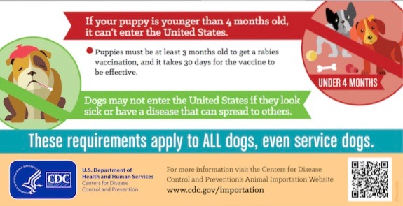 The Center for Disease Control says puppies coming into the US must be at least 4 months old. 