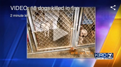 Furever Homes Dog Rescue Fire