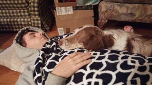 Dog Human Bond One of the most important aspects of good behavior in dogs is having a strong bond with its owner.
