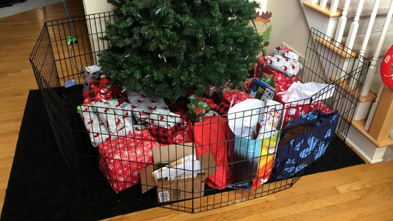 Folding play pens are a simple way to dog-proof your Christmas tree.