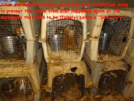 This is how dogs lived inside the Olympic Animal "Sanctuary."