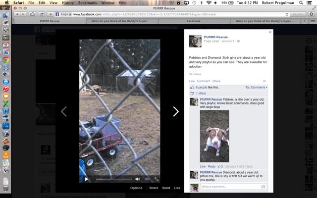 In this screenshot of a video from the PURRR Facebook page you can see the orange extension chord leading to a pop up tent where the dogs' kennels are.