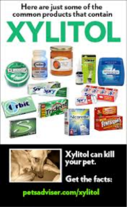 Xylitol can be deadly to dogs. 