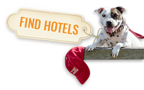 find dog friendly hotels in and around Seattle.