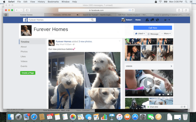 May 14, 2016 another announcement from Furever Homes saying the group has new puppies even though on April 15. 