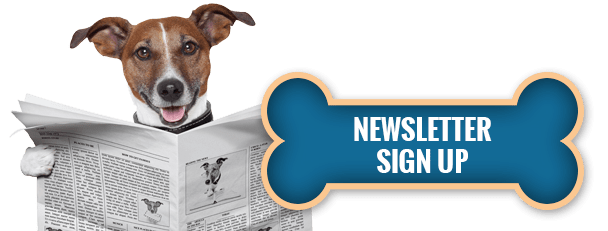 Seattle DogSpot Newsletter Sign up